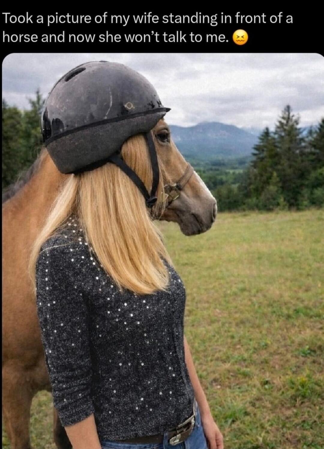 Took a picture of my wife standing in front of a horse and now she won't talk to me. 😤