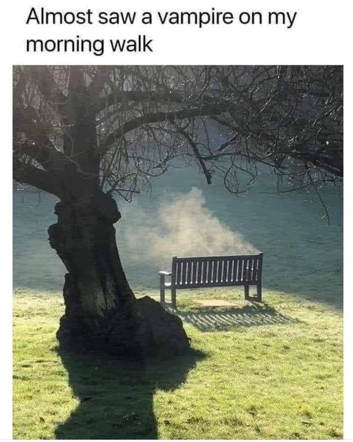 Almost saw a vampire on my morning walk
