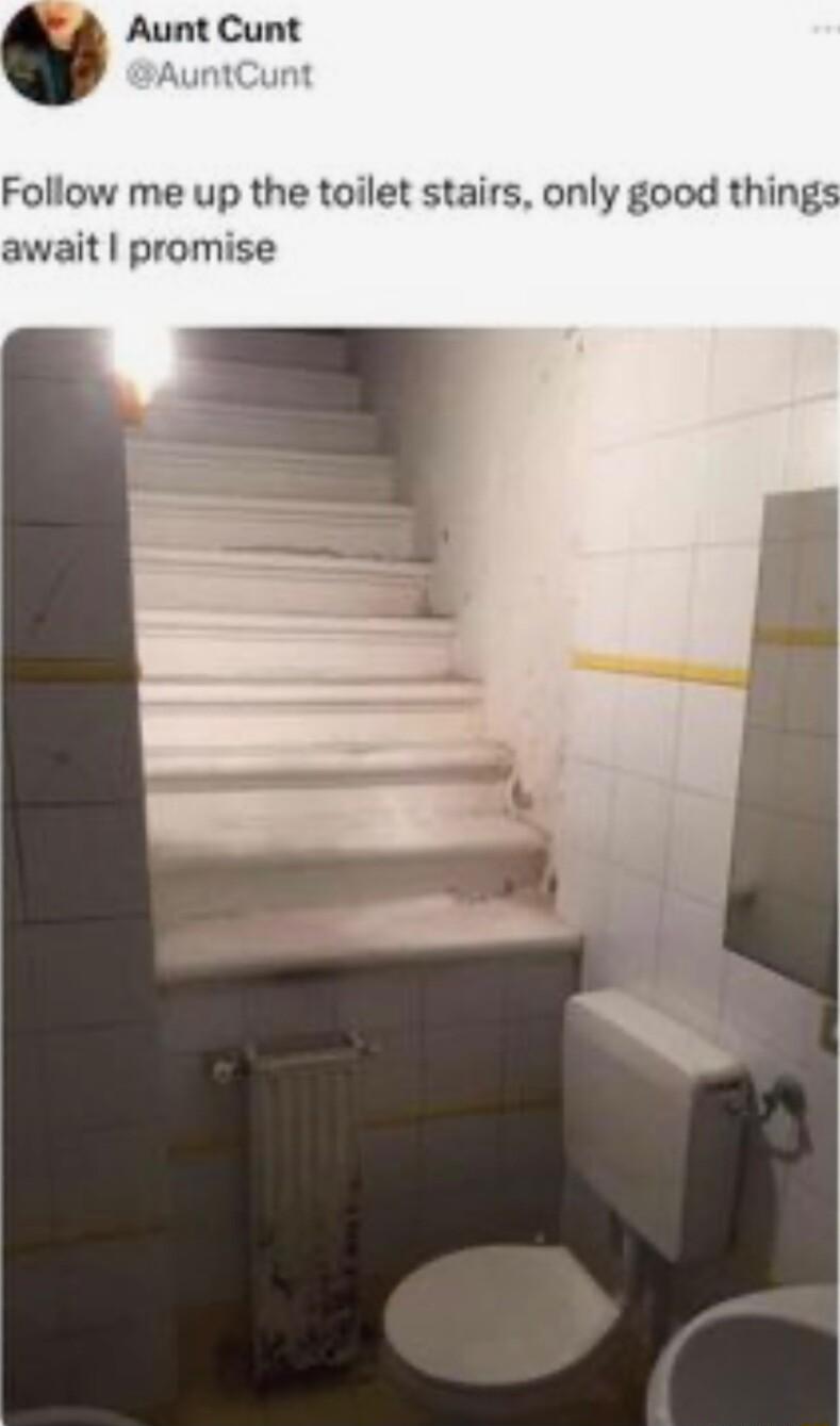 Aunt Cunt Follow me up the toilet stairs only good things await promise