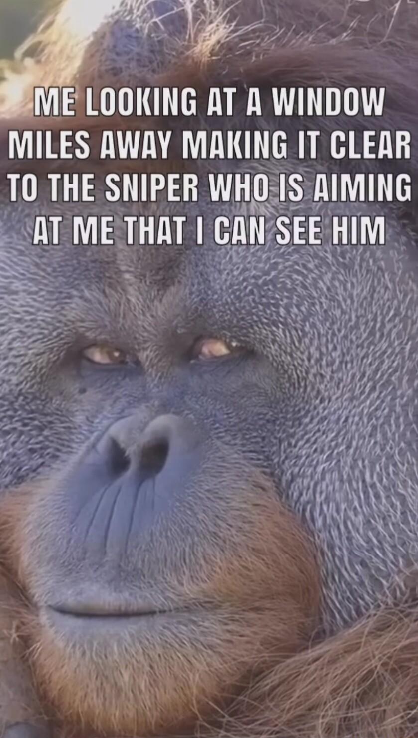 44 s B iMElUKING AT A WINDOW MILES AWAY MAKING IT CLEAR 10 THE SNIPER WHOIS RAIMING AT METHAT IINSEEHIM