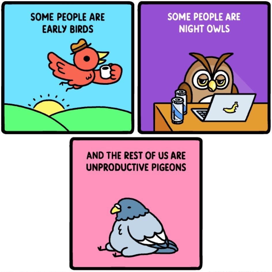 SOME PEOPLE ARE EARLY BIRDS AND THE REST OF US ARE UNPRODUCTIVE PIGEONS