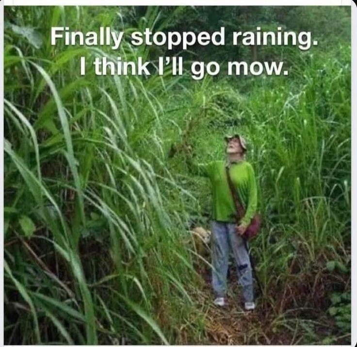 Finally stopped raining. I think I'll go mow.