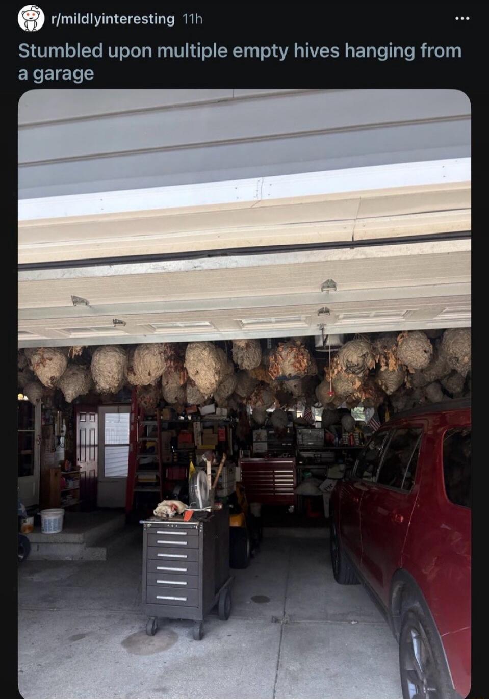 Stumbled upon multiple empty hives hanging from a garage