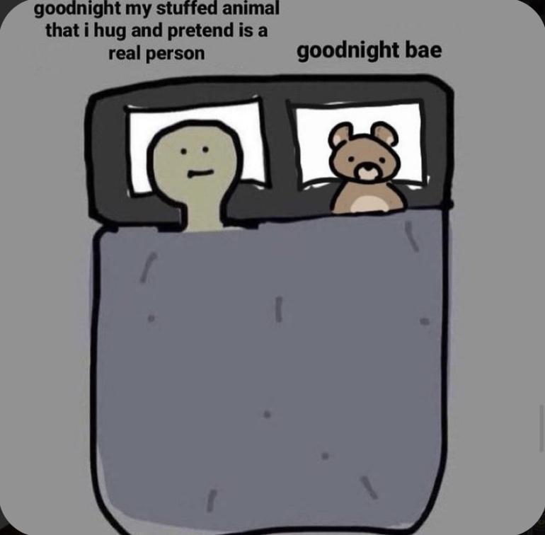 r goodnight my stuffed animal that i hug and pretend is a real person goodnight bae