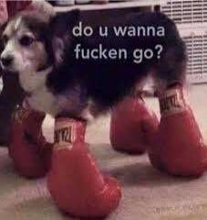 CRTRVENTE fucken go
