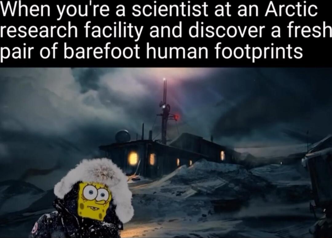 When youre a scientist at an Arctic research facility and discover a fresh pair of barefoot human footprints