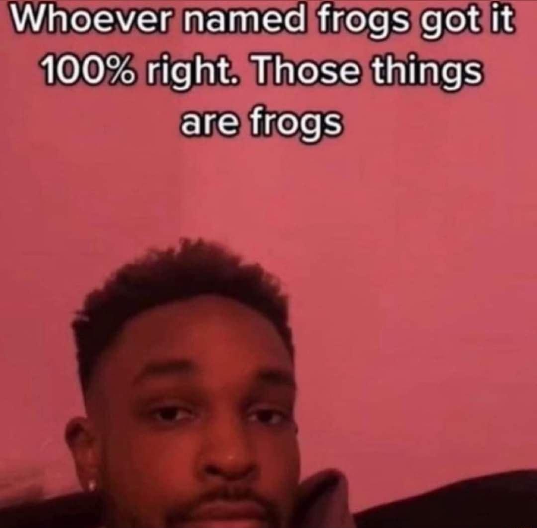 it WAV e e hitele S efels 100 rightfTihoseithings arelfrogs