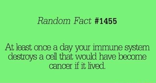 Random Fact 1455 At least once a day your immune system destroys a cell that would have become cancer if it ived