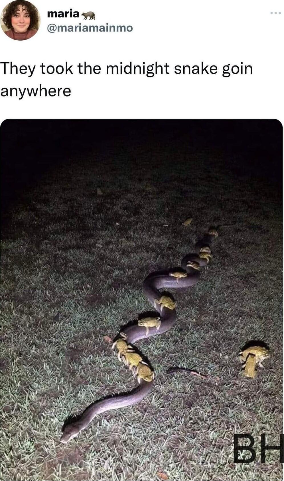 maria g mariamainmo hey took the midnight snake goin anywhere