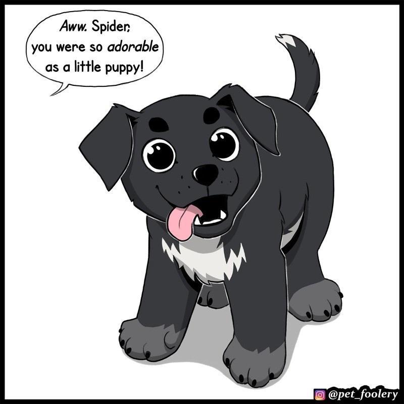 Aww Spiden you were so adorable as alittle puppy pet foolery