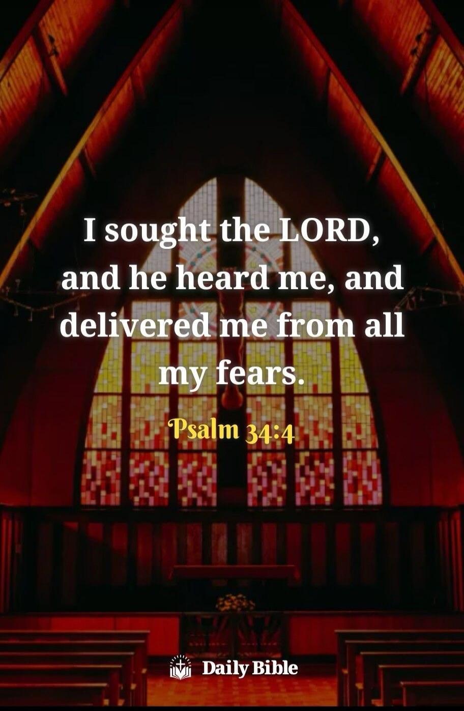 I sought the LORD, and he heard me, and delivered me from all my fears. Psalm 34:4. Daily Bible.