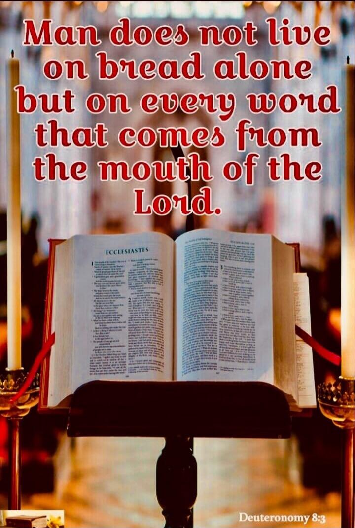 Man does not live on bread alone but on every word that comes from the mouth of the Lord. ECCLESIASTES. Deuteronomy 8:3.