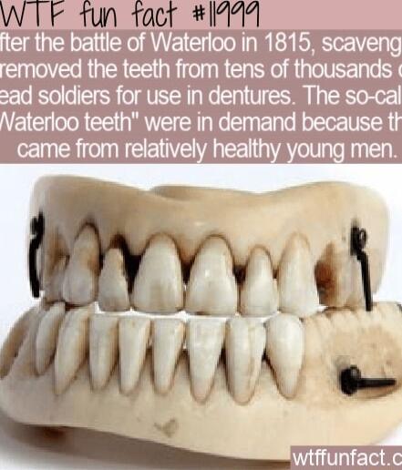 IT LA lAAQ fter the battle of Waterloo in 1815 scaveng removed the teeth from tens of thousands 2ad soldiers for use in dentures The so cal