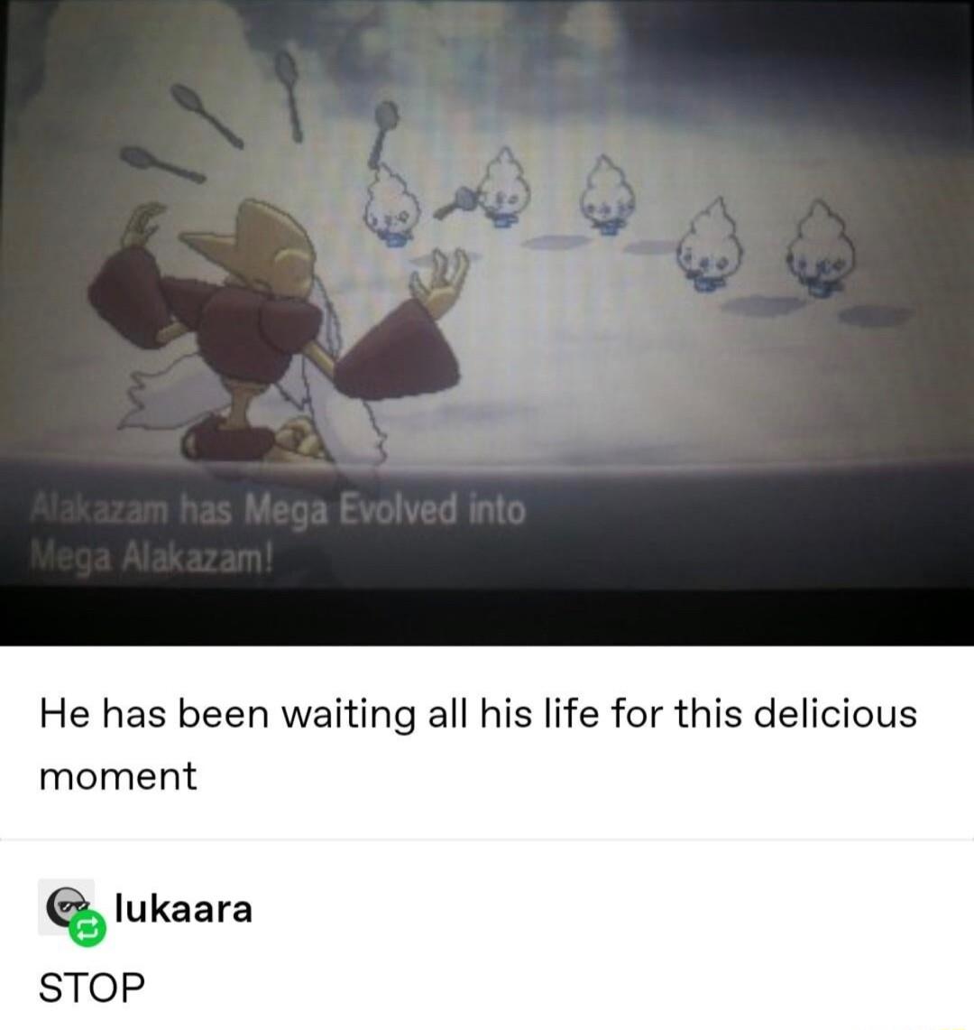 He has been waiting all his life for this delicious moment Qlukaara STOP