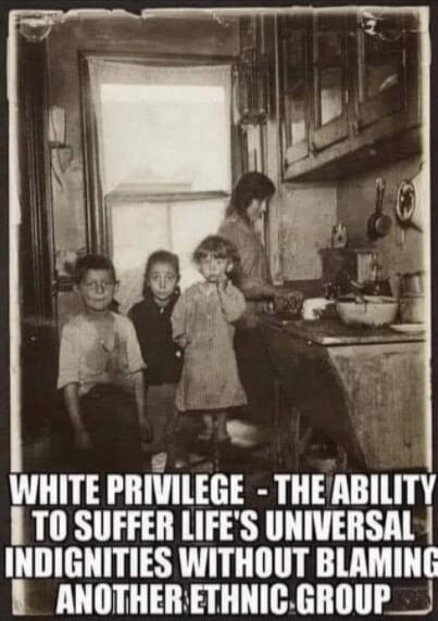 WHITE PRIVILEGE - THE ABILITY TO SUFFER LIFE'S UNIVERSAL INDIGNITIES WITHOUT BLAMING ANOTHER ETHNIC GROUP