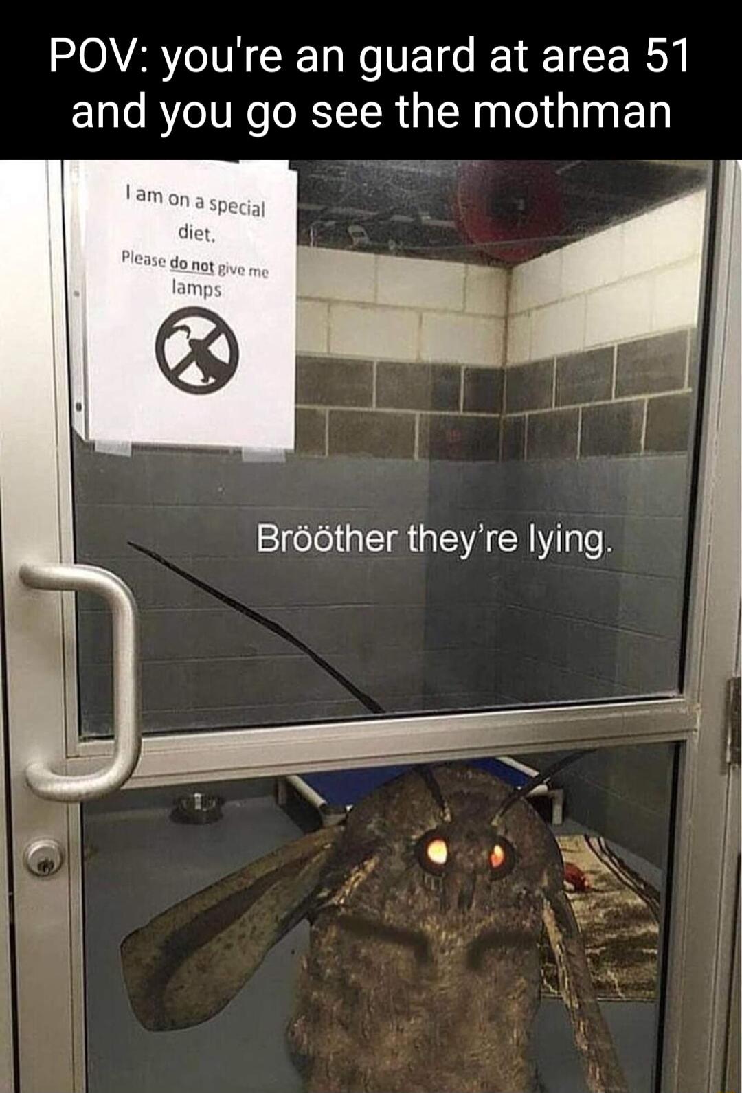 POV youre an guard at area 51 and you go see the mothman