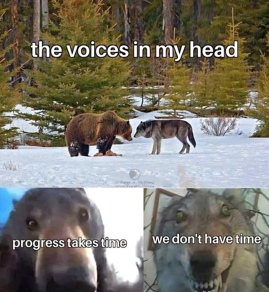 1 the voicesinmy head A et progress t me we dont havejtimes