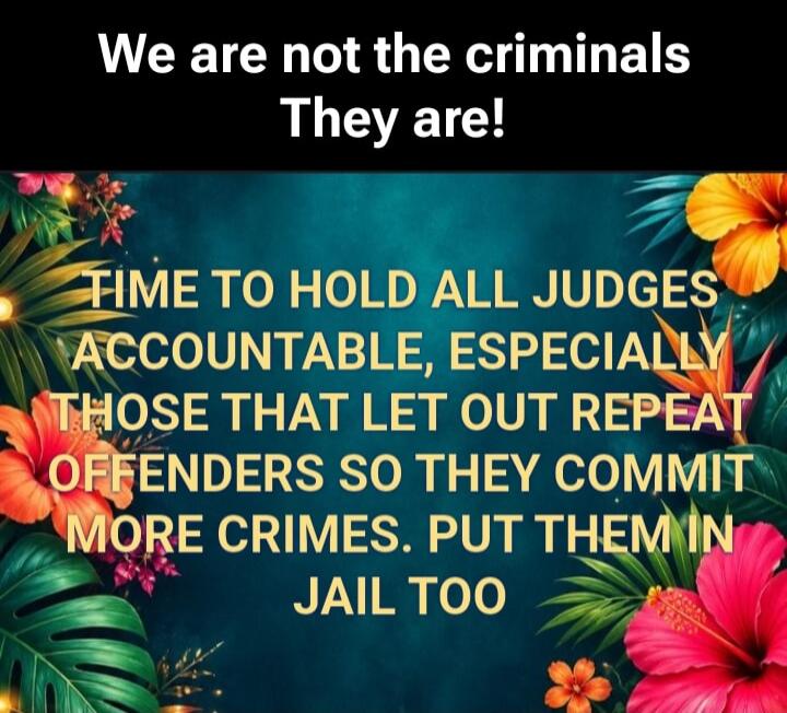 We are not the criminals They are! TIME TO HOLD ALL JUDGES ACCOUNTABLE, ESPECIALLY THOSE THAT LET OUT REPEAT OFFENDERS SO THEY COMMIT MORE CRIMES. PUT THEM IN JAIL TOO
