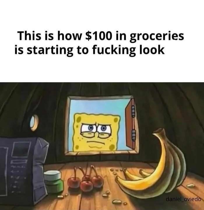 This is how $100 in groceries is starting to fucking look