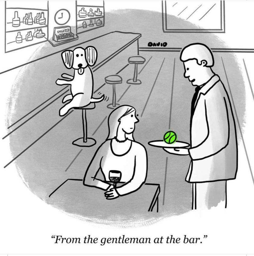 From the gentleman at the bar