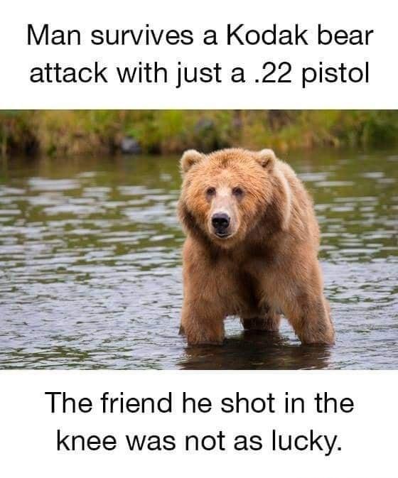 Man survives a Kodak bear attack with just a 22 pistol The friend he shot in the knee was not as lucky