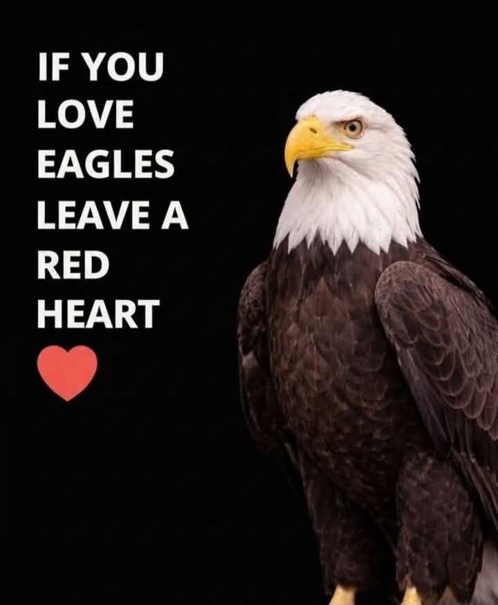 IF YOU LOVE EAGLES LEAVE A RED HEART