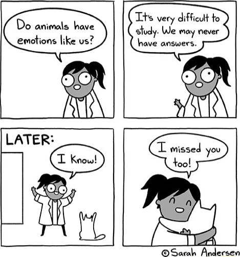 Do animals have emations like us Tts very difficult fo sludy We may never have answers LATER Sarah Andersen