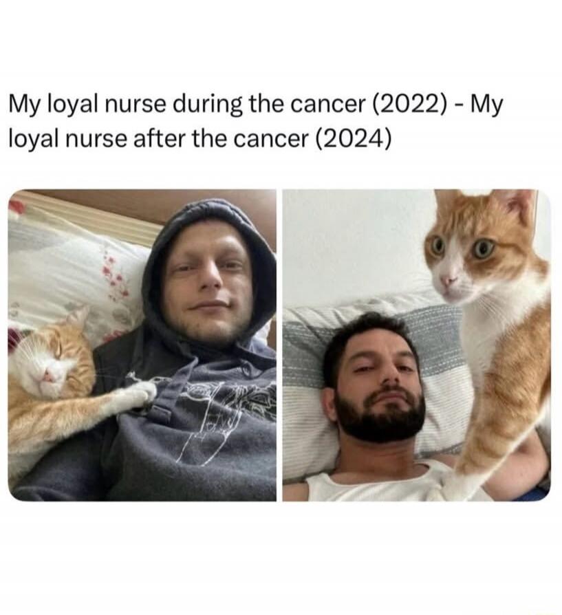 My loyal nurse during the cancer (2022) - My loyal nurse after the cancer (2024)
