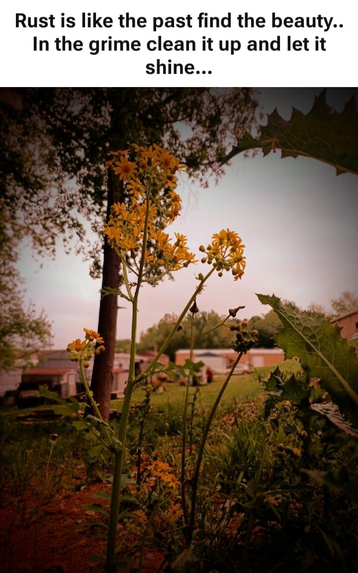 Rust is like the past find the beauty.. In the grime clean it up and let it shine...