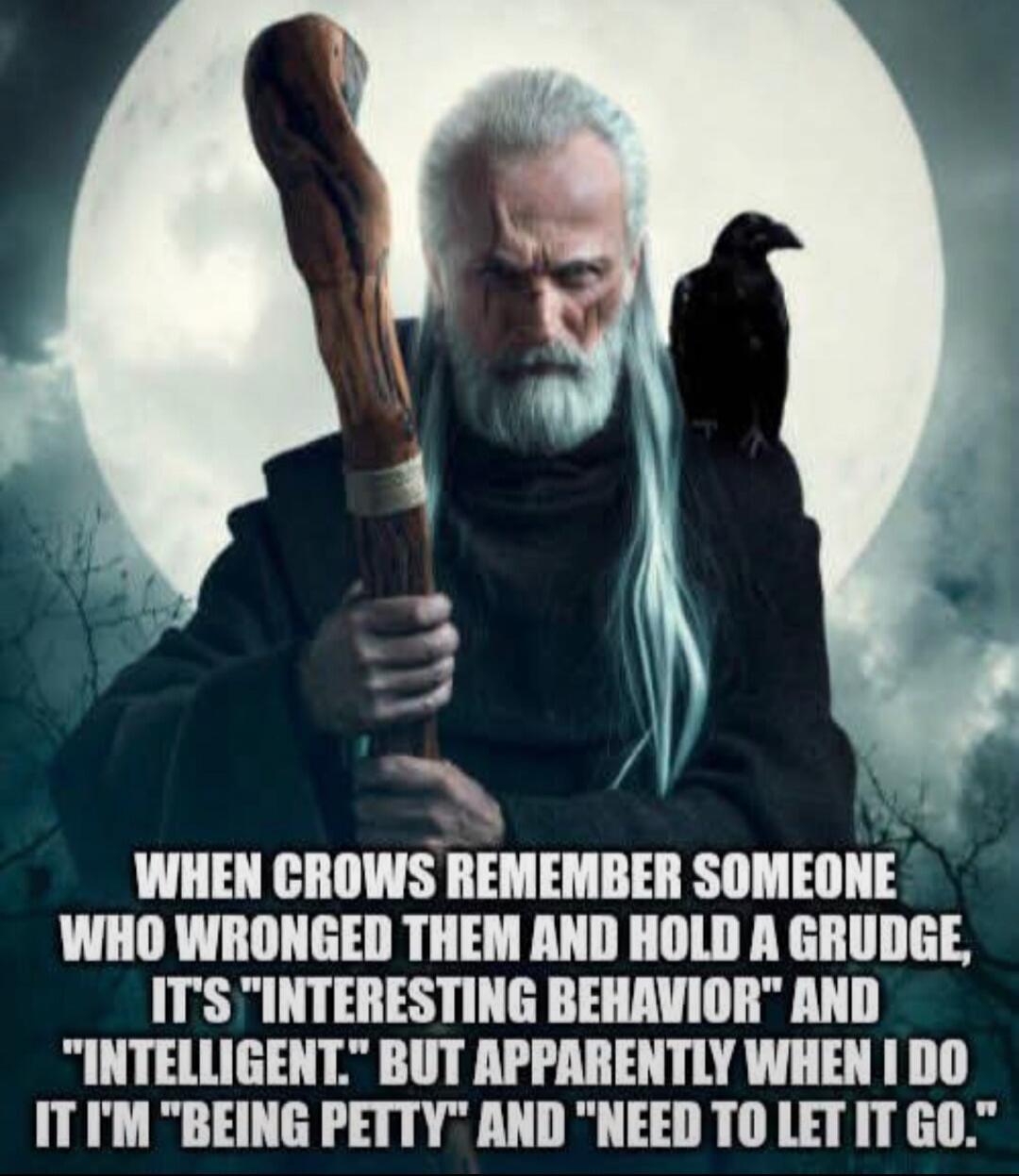 WHEN CROWS REMEMBER SOMEONE WHO WRONGED THEM AND HOLD A GRUDGE, IT'S 