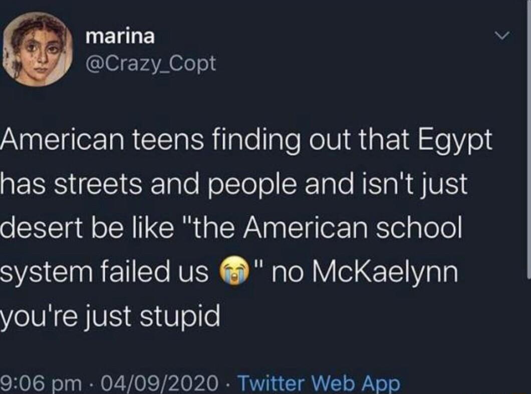 UELGE Crazy_Copt American teens finding out that Egypt AESESICIEI R ple RolTolol RIS RS VY desert be like the American school system failed us no McKaelynn youre just stupid 906 pm 04092020 Twitter Web App