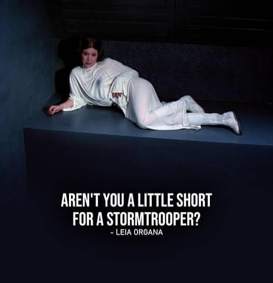 AREN'T YOU A LITTLE SHORT FOR A STORMTROOPER? - LEIA ORGANA