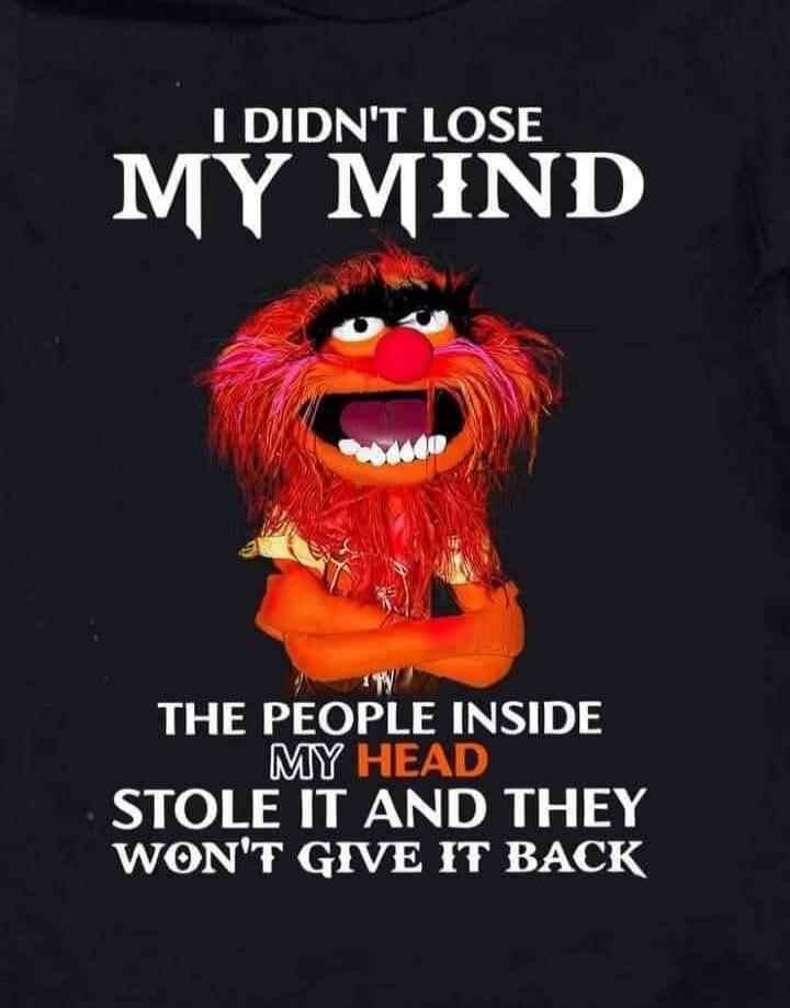 I DIDN'T LOSE MY MIND THE PEOPLE INSIDE MY HEAD STOLE IT AND THEY WON'T GIVE IT BACK