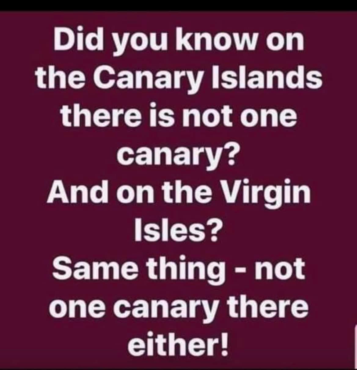 Did you know on LOUCNeE L ETGTAIET L S there is not one canary G TG T R G RV T Isles CET RGBT one canary there either