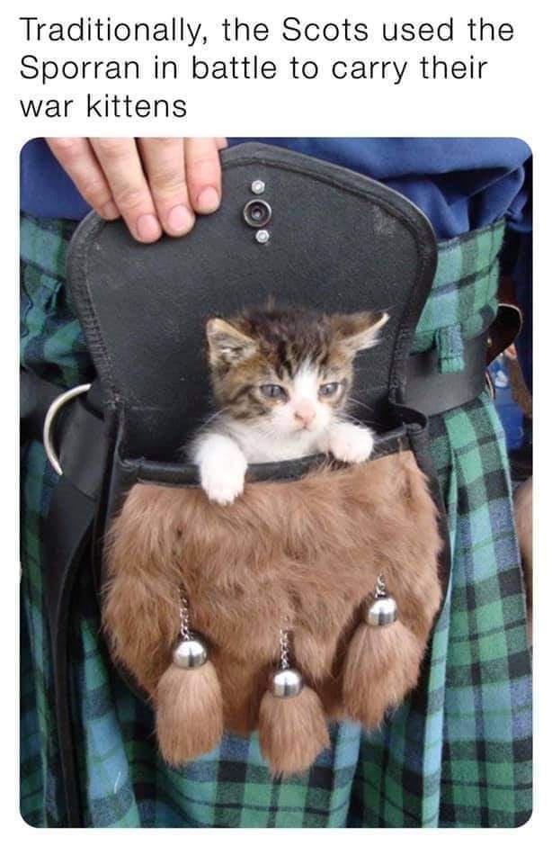 Traditionally the Scots used the Sporran in battle to carry their war kittens