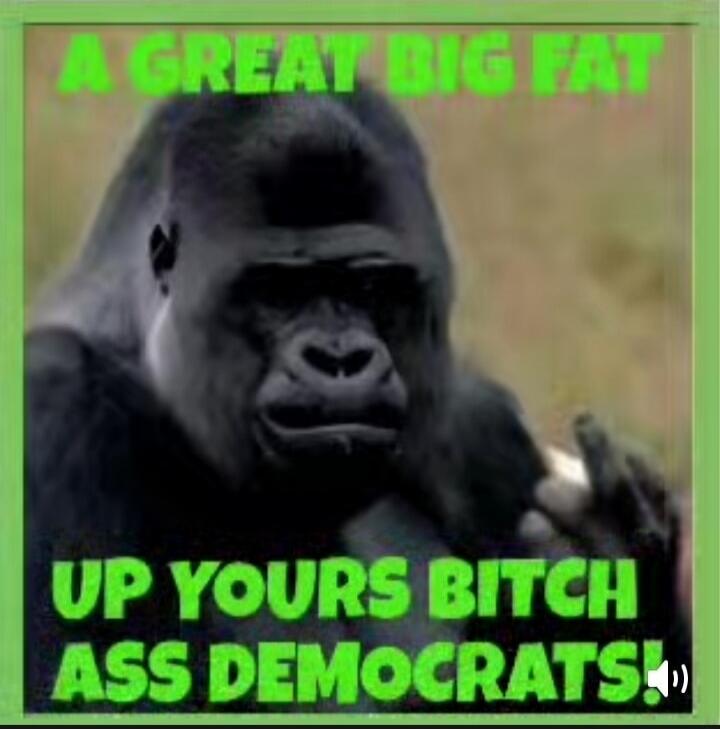 A GREAT BIG FAT
UP YOURS BITCH ASS DEMOCRATS!