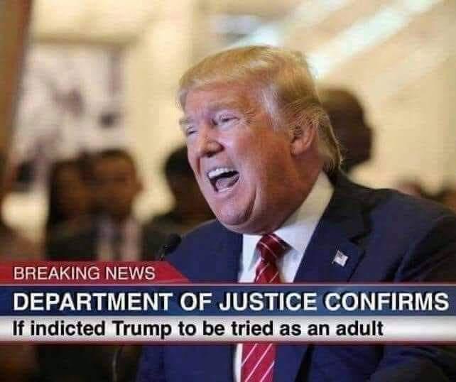 DEPARTMENT OF JUSTICE ooI5151E If indicted Trump to be tried as an adult IR T