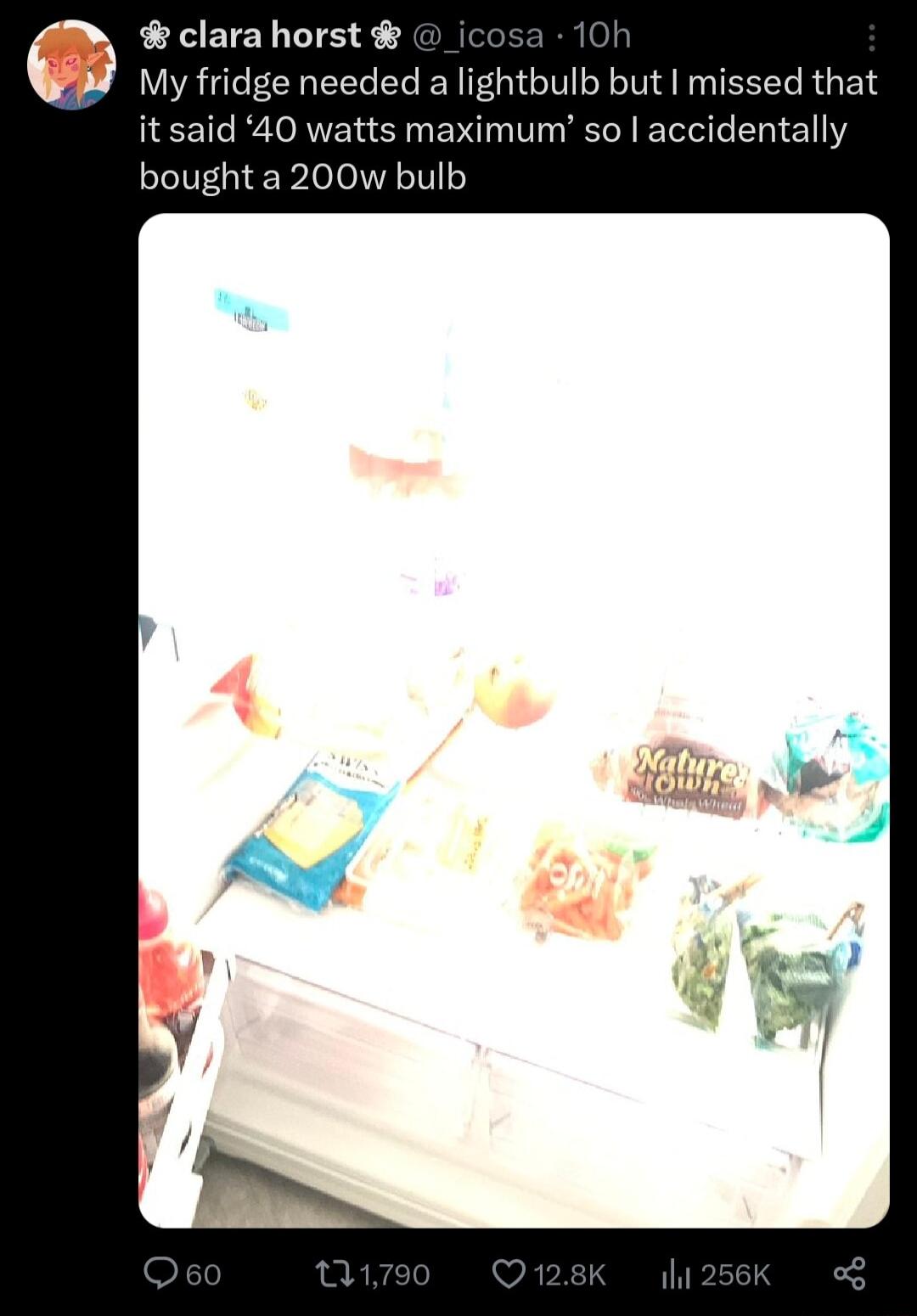 clara horst 1 My fridge needed a lightbulb but missed that it said 40 watts maximum so accidentally bought a 200w bulb