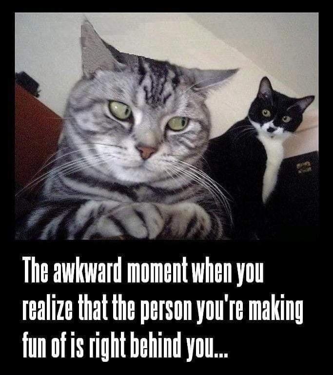 The awkward moment when you realize that the person youre making fun of is right behind you