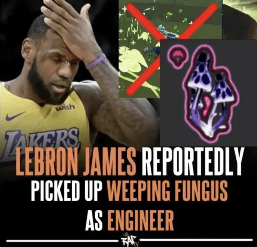 Gt A P 1 1 4 E LEHRON 1AMES REPORTEDLY PICKED UP WEEPING FUNGUS AS ENGINEER