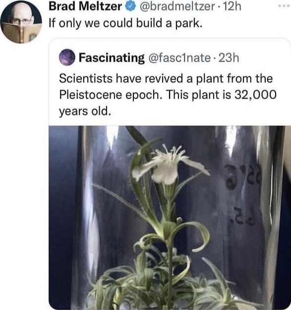 Brad Meltzer bradmeltzer 12h If only we could build a park s Fascinating fascinate 23h Scientists have revived a plant from the Pleistocene epoch This plant is 32000 years old