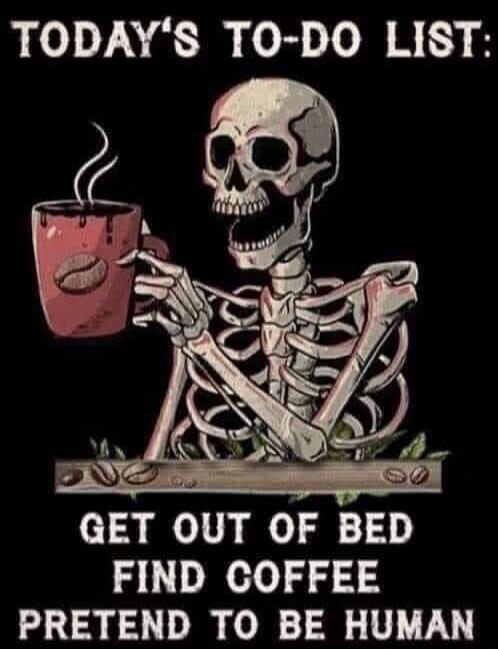 TODAY'S TO-DO LIST: GET OUT OF BED FIND COFFEE PRETEND TO BE HUMAN