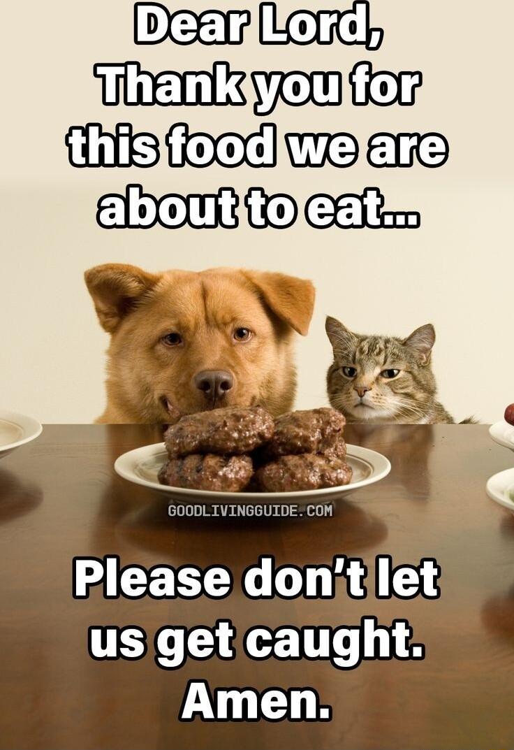 Please donitilet usgetcaught Amen