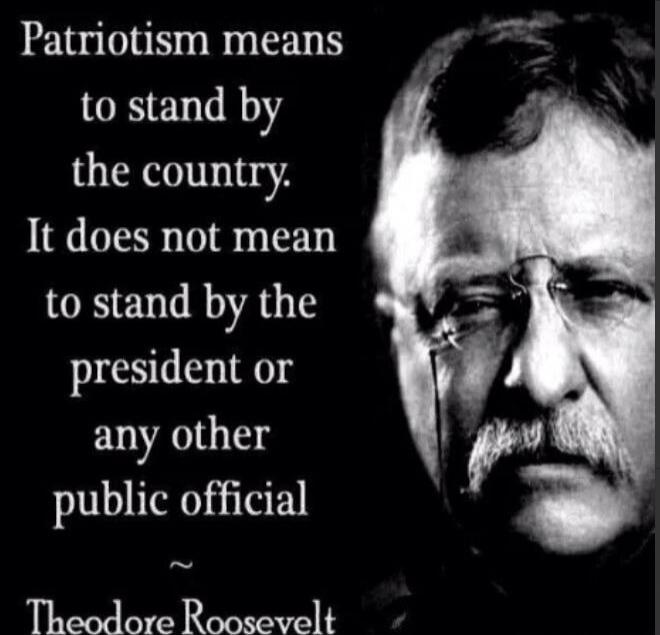 Patriotism means to stand by the country. It does not mean to stand by the president or any other public official. ~ Theodore Roosevelt