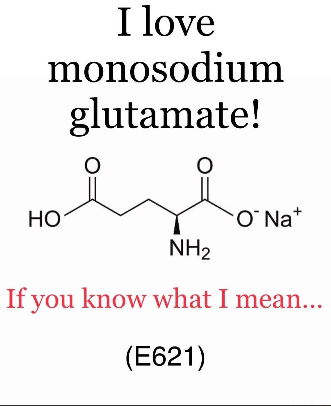I love monosodium glutamate O O HOWO Na NHa If you know what I mean E621