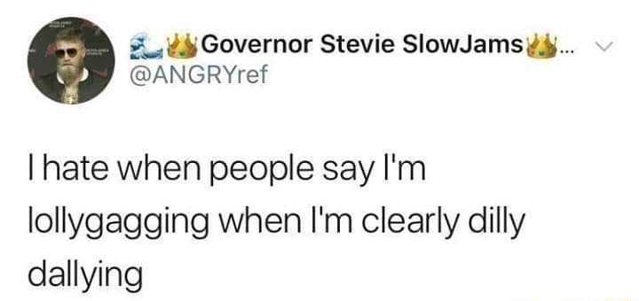 44 Governor Stevie SlowJamsidj ANGRYref hate when people say Im lollygagging when Im clearly dilly dallying