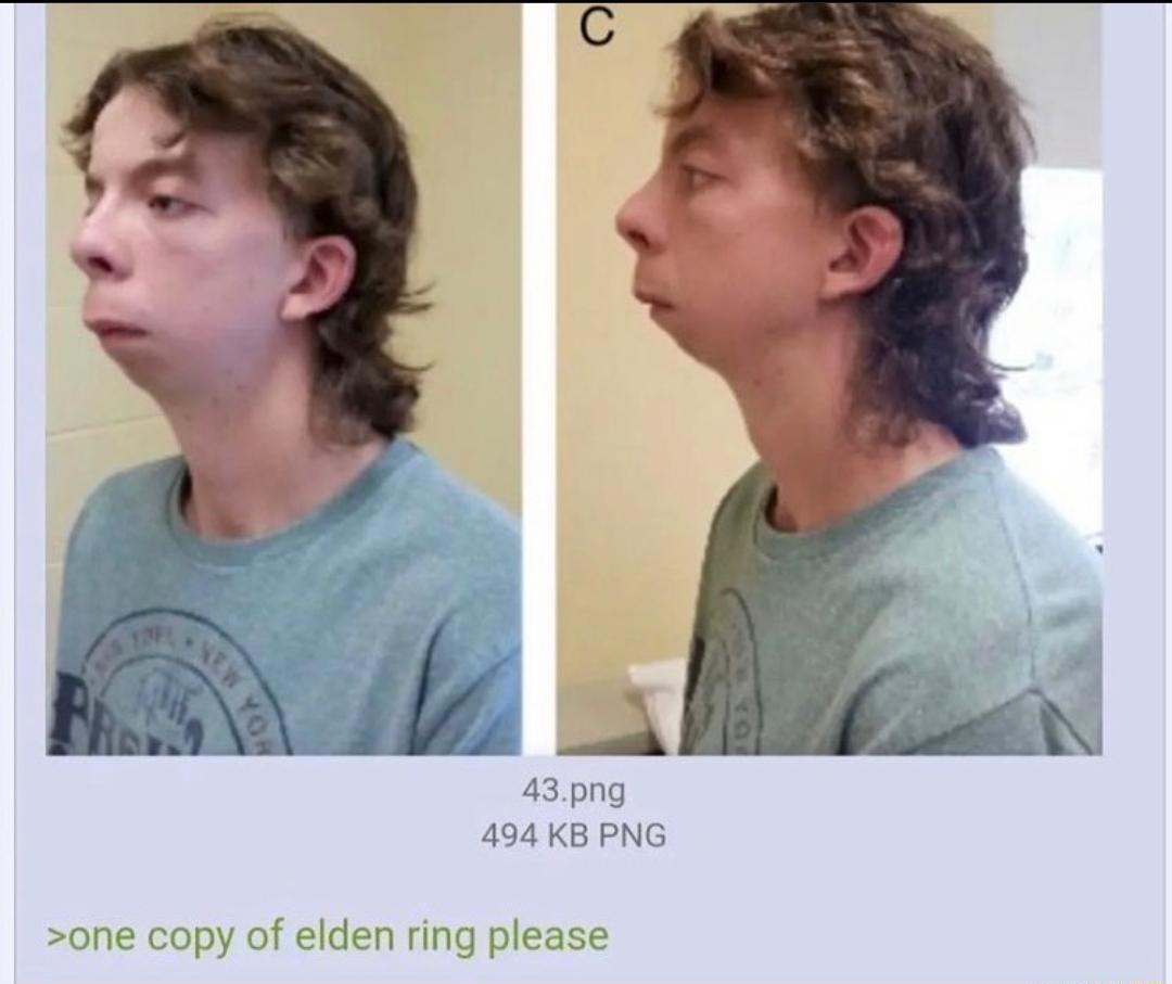 43png 494 KB PNG one copy of elden ring please