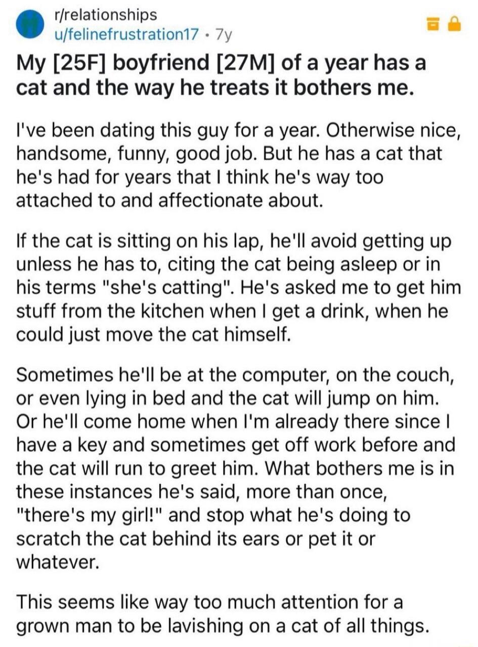 r/relationships
u/felinefrustration17 • 7y
My [25F] boyfriend [27M] of a year has a cat and the way he treats it bothers me.

I've been dating this guy for a year. Otherwise nice, handsome, funny, good job. But he has a cat that he's had for years that I think he's way too attached to and affectionate about.

If the cat is sitting on his lap, he'll