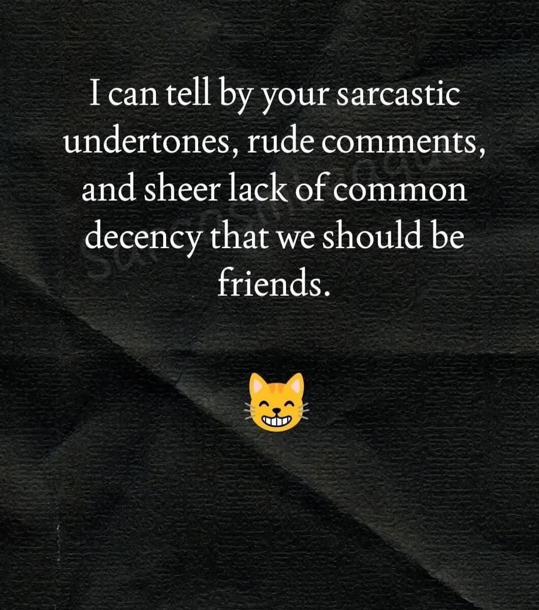 I can tell by your sarcastic undertones, rude comments, and sheer lack of common decency that we should be friends. 😼
