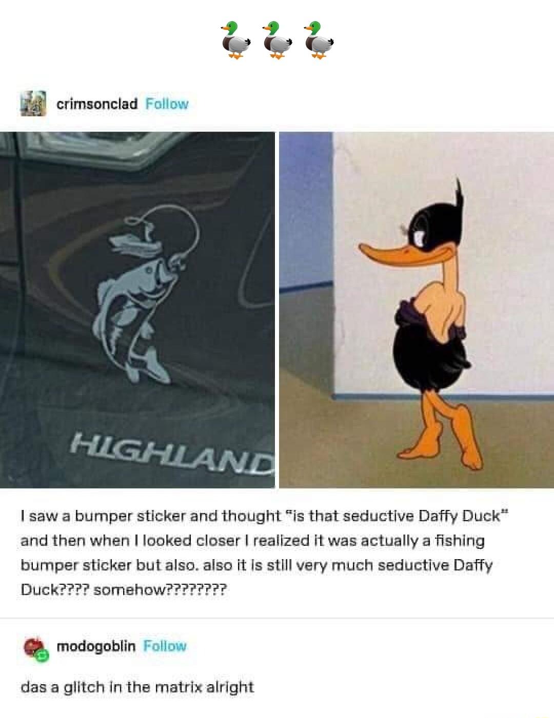 il crimorcied 1 saw a bumper sticker and thought is that seductive Daffy Duck and then when I looked closer realized it was actually a fishing bumper sticker but also also it Is still very much seductive Daffy Duck2 somehow7eT modogabin das a glitch In the matrix alright